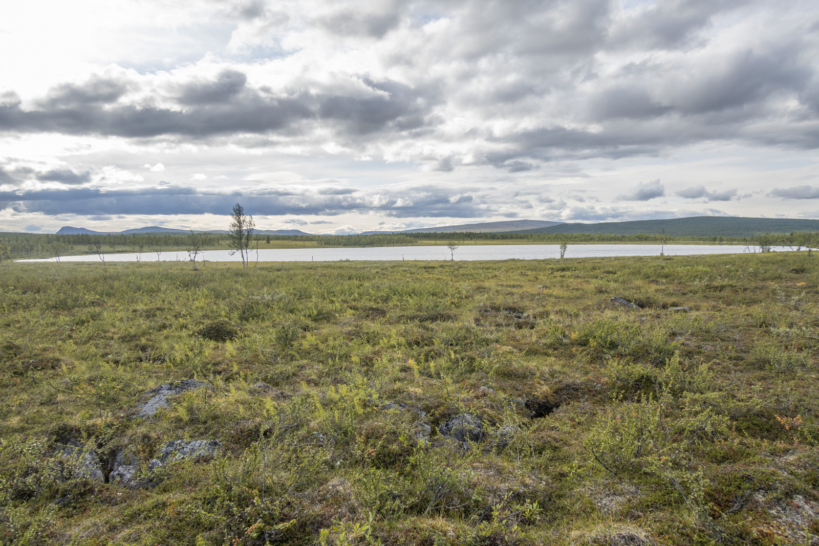 Klicke auf die Grafik für eine vergrößerte Ansicht

Name: Sjaunja_2025_132.jpg
Ansichten: 84
Größe: 968,2 KB
ID: 3358009