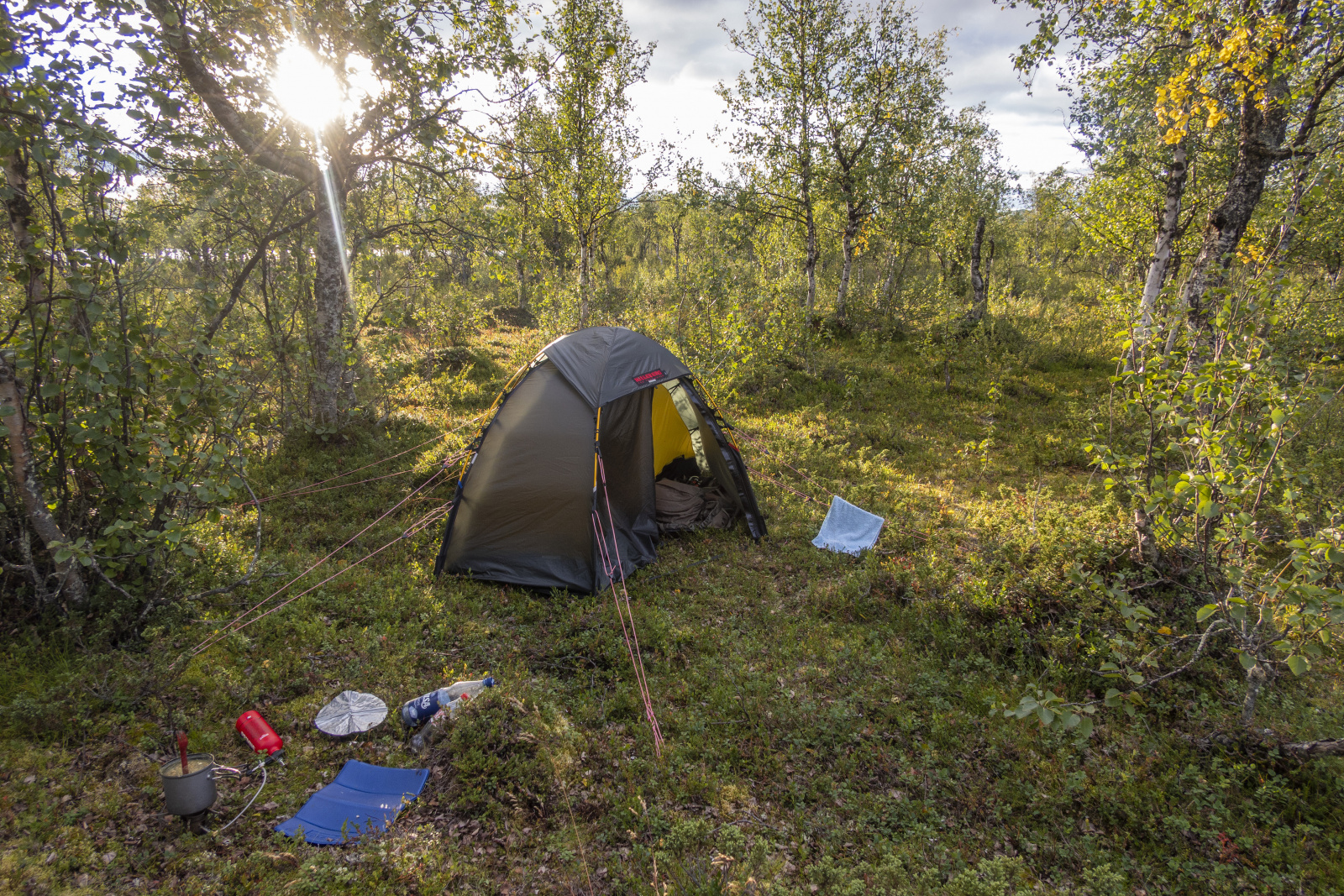 Klicke auf die Grafik für eine vergrößerte Ansicht

Name: Sjaunja_2025_143.jpg
Ansichten: 84
Größe: 1,50 MB
ID: 3358010