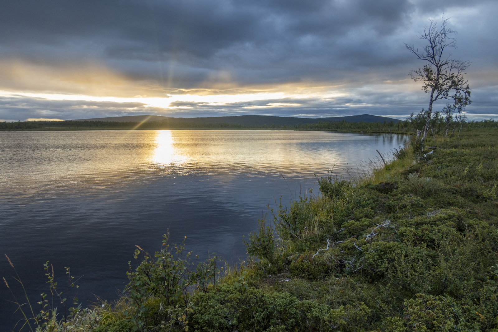 Klicke auf die Grafik für eine vergrößerte Ansicht

Name: Sjaunja_2025_149.jpg
Ansichten: 83
Größe: 802,6 KB
ID: 3358006