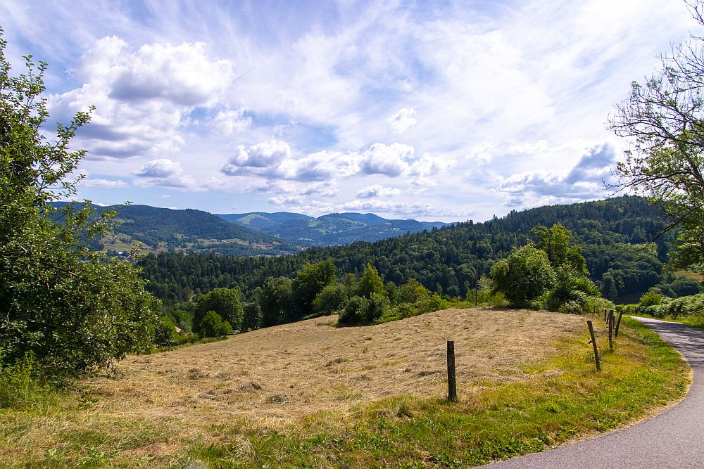 Klicke auf die Grafik für eine vergrößerte Ansicht  Name: 05 Kurzer Aufsteig auf der Rue de la Colline.jpg Ansichten: 0 Größe: 313,8 KB ID: 3357971