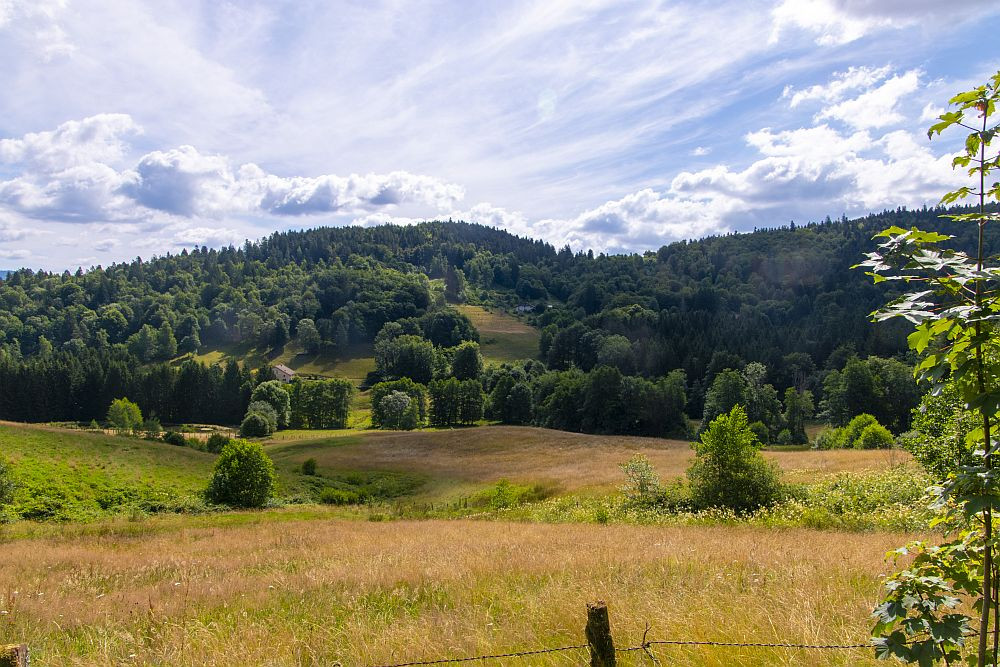 Klicke auf die Grafik für eine vergrößerte Ansicht  Name: 04 Das kleine Hochtal rund um den Ruisseau de Ramonchamp.jpg Ansichten: 0 Größe: 275,6 KB ID: 3357972