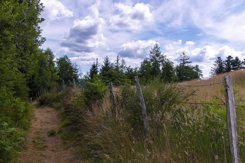 Klicke auf die Grafik für eine vergrößerte Ansicht  Name: 07 Tolle Wanderwege.jpg Ansichten: 0 Größe: 296,4 KB ID: 3357977