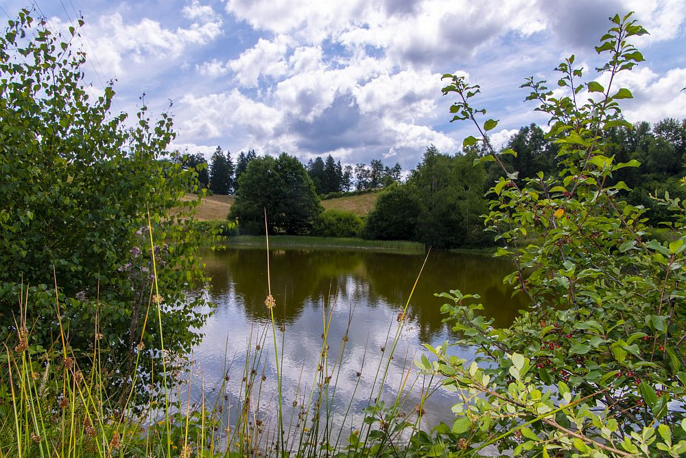 Klicke auf die Grafik für eine vergrößerte Ansicht  Name: 08 Einer der vielen namenslosen Seen.jpg Ansichten: 0 Größe: 340,8 KB ID: 3357979