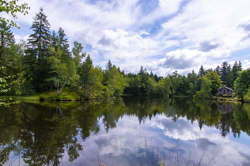 Klicke auf die Grafik für eine vergrößerte Ansicht  Name: 11 Am Étang du Chêne.jpg Ansichten: 0 Größe: 247,5 KB ID: 3357980