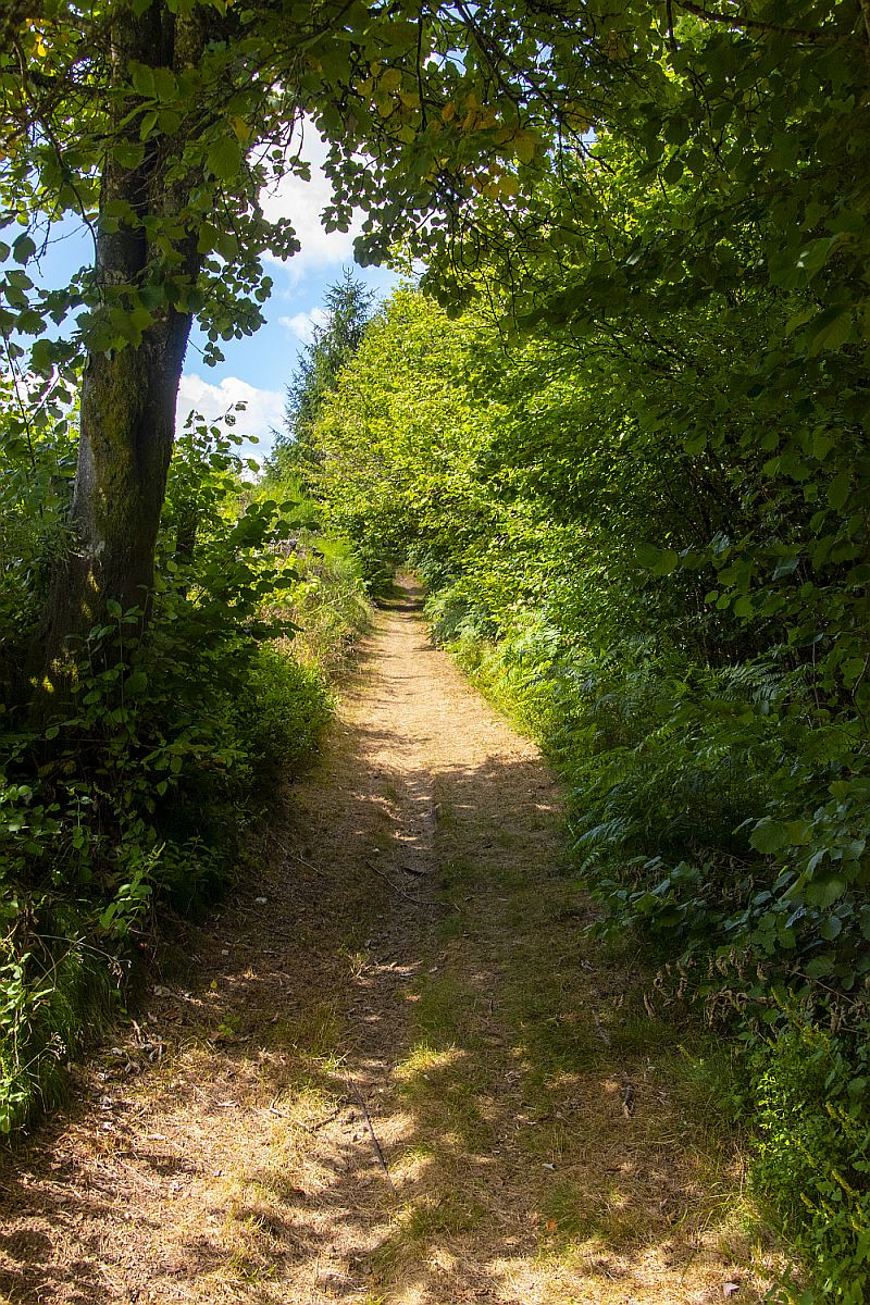 Klicke auf die Grafik für eine vergrößerte Ansicht  Name: 09 Waldrandwanderwege.jpg Ansichten: 0 Größe: 615,6 KB ID: 3357981