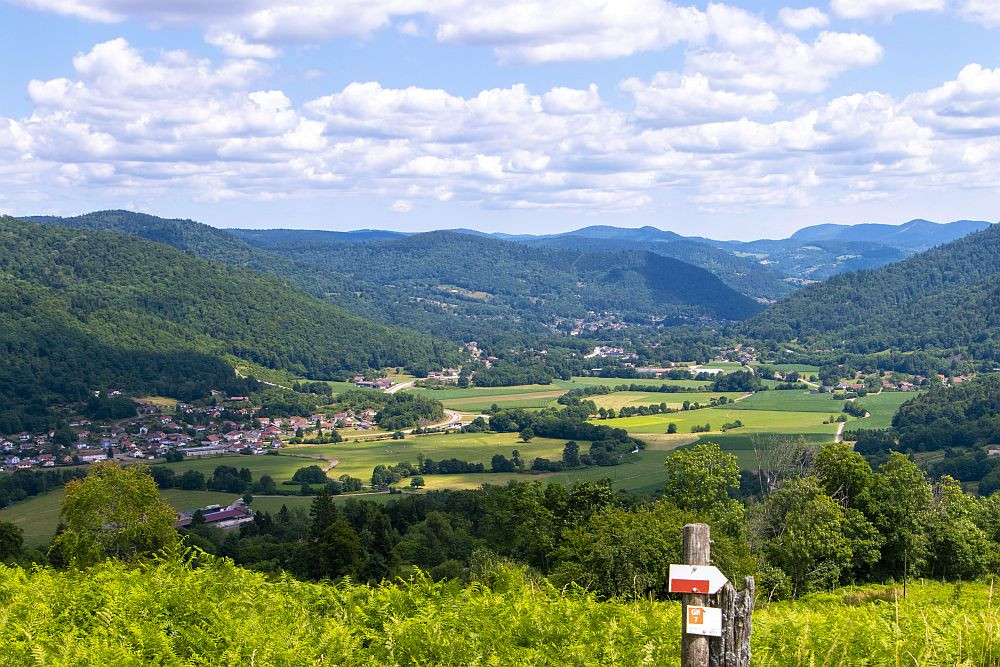 Klicke auf die Grafik für eine vergrößerte Ansicht  Name: 15 Auf dem GR7 das Moseltal runter.jpg Ansichten: 0 Größe: 305,1 KB ID: 3357985