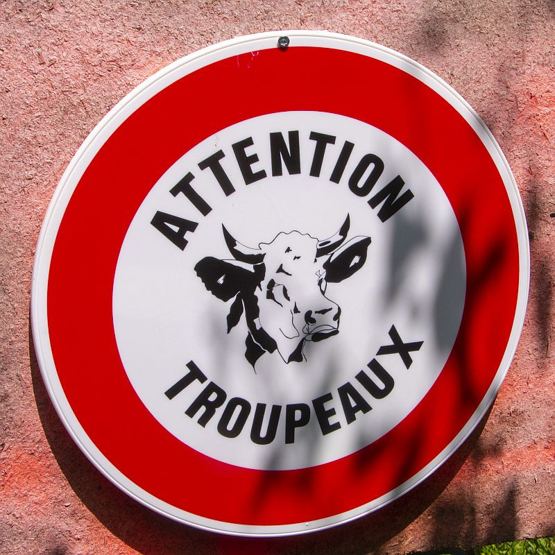 Klicke auf die Grafik für eine vergrößerte Ansicht  Name: 17 Warnung vor den Rinderherden.jpg Ansichten: 0 Größe: 220,3 KB ID: 3357988