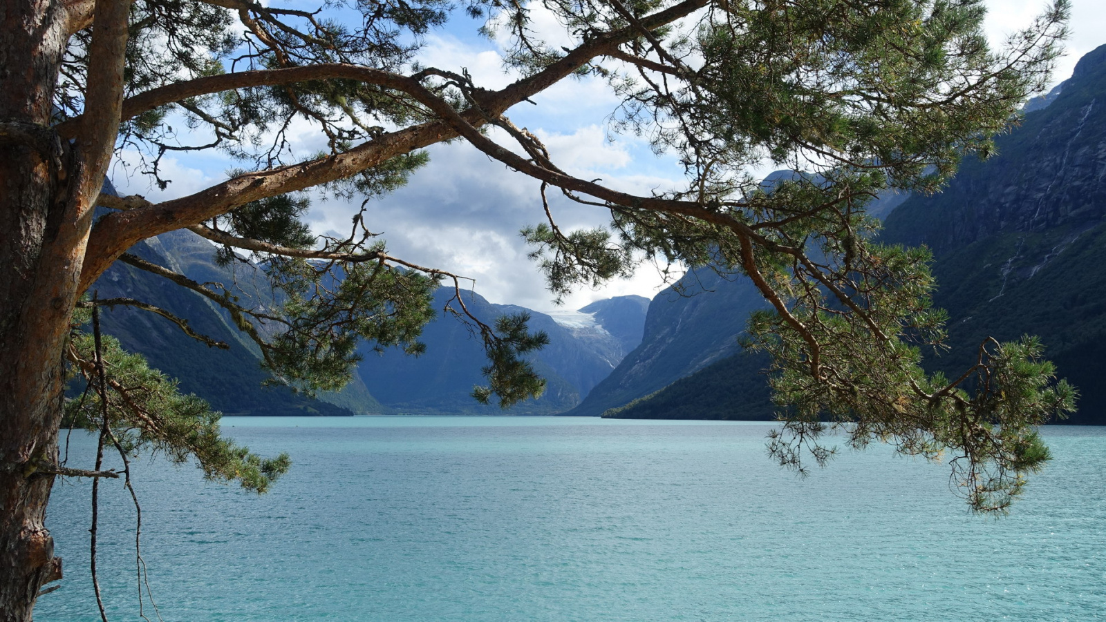 Klicke auf die Grafik für eine vergrößerte Ansicht

Name: 2025 Norge 0731.jpg
Ansichten: 8
Größe: 841,8 KB
ID: 3358158