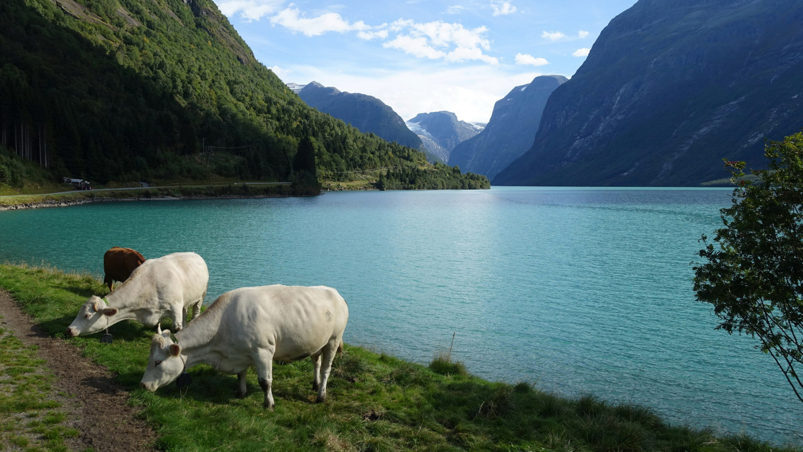 Klicke auf die Grafik für eine vergrößerte Ansicht

Name: 2025 Norge 0737.jpg
Ansichten: 5
Größe: 670,5 KB
ID: 3358167