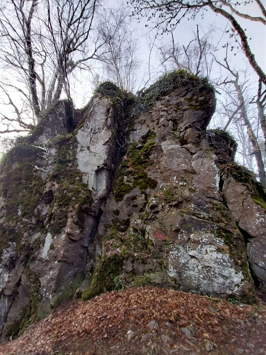 Klicke auf die Grafik für eine vergrößerte Ansicht  Name: 20251223_102428.jpg Ansichten: 0 Größe: 951,5 KB ID: 3358295