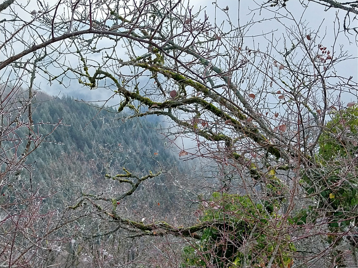 Klicke auf die Grafik für eine vergrößerte Ansicht  Name: 20251223_102658.jpg Ansichten: 0 Größe: 1,28 MB ID: 3358296