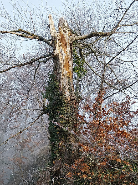 Klicke auf die Grafik für eine vergrößerte Ansicht  Name: 20251223_103028.jpg Ansichten: 0 Größe: 1,58 MB ID: 3358297