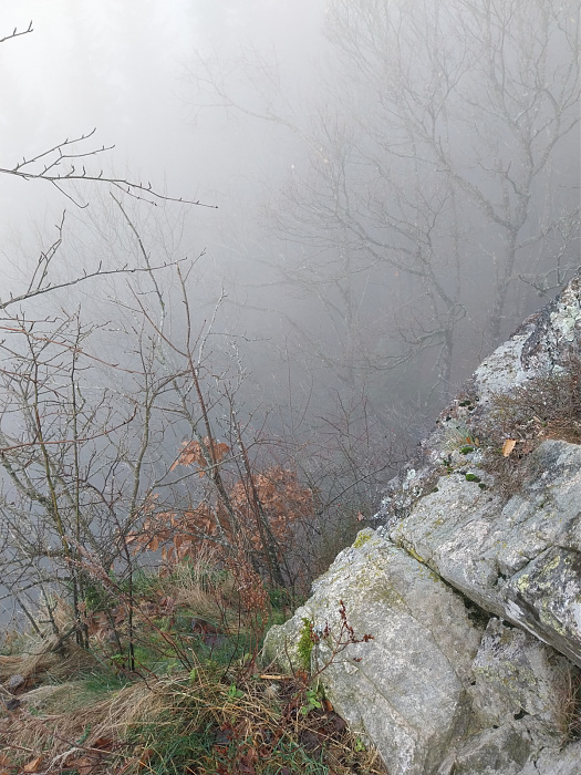 Klicke auf die Grafik für eine vergrößerte Ansicht  Name: 20251223_103820.jpg Ansichten: 0 Größe: 911,3 KB ID: 3358298