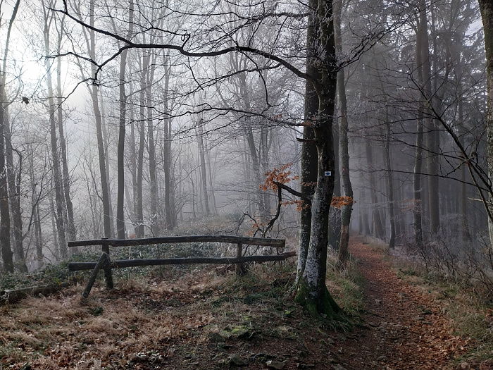 Klicke auf die Grafik für eine vergrößerte Ansicht  Name: 20251223_104037.jpg Ansichten: 0 Größe: 1,13 MB ID: 3358299