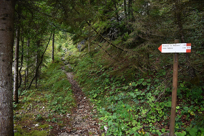 Klicke auf die Grafik für eine vergrößerte Ansicht

Name: DSC_0678.jpg
Ansichten: 71
Größe: 1,28 MB
ID: 3358423