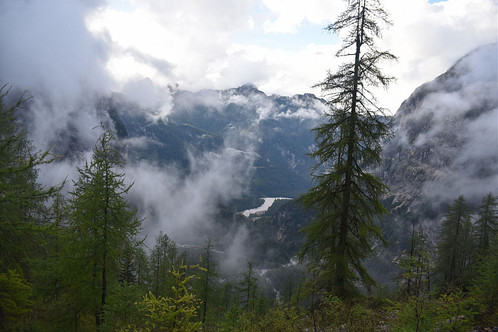 Klicke auf die Grafik für eine vergrößerte Ansicht

Name: DSC_0692.jpg
Ansichten: 73
Größe: 638,1 KB
ID: 3358425