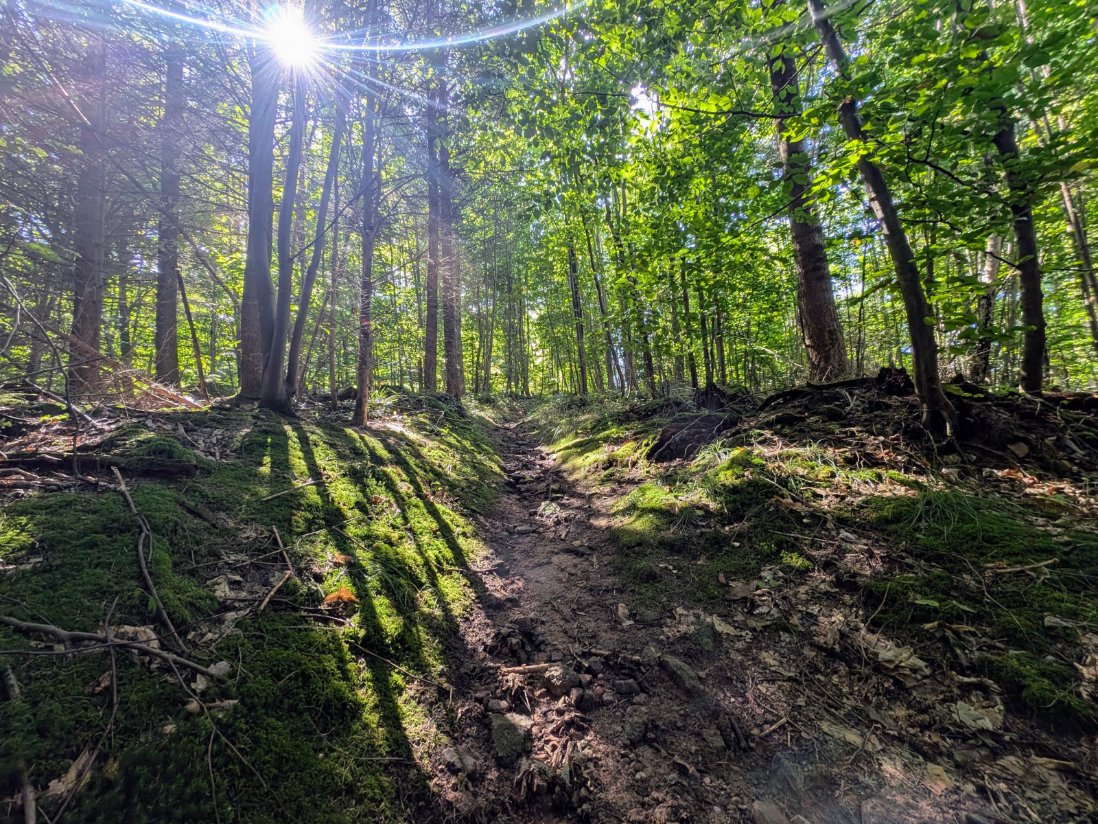 Klicke auf die Grafik für eine vergrößerte Ansicht  Name: PXL_20250831_125350050.jpg Ansichten: 0 Größe: 1,40 MB ID: 3358463