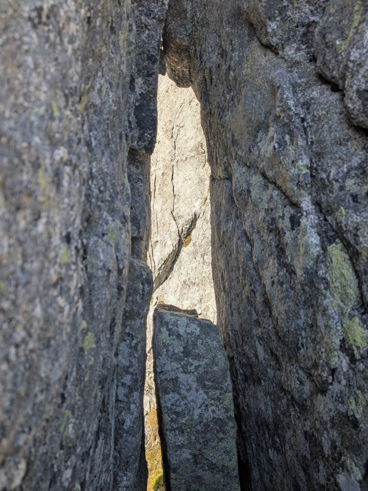 Klicke auf die Grafik für eine vergrößerte Ansicht  Name: PXL_20250918_125134472.jpg Ansichten: 0 Größe: 804,9 KB ID: 3358476