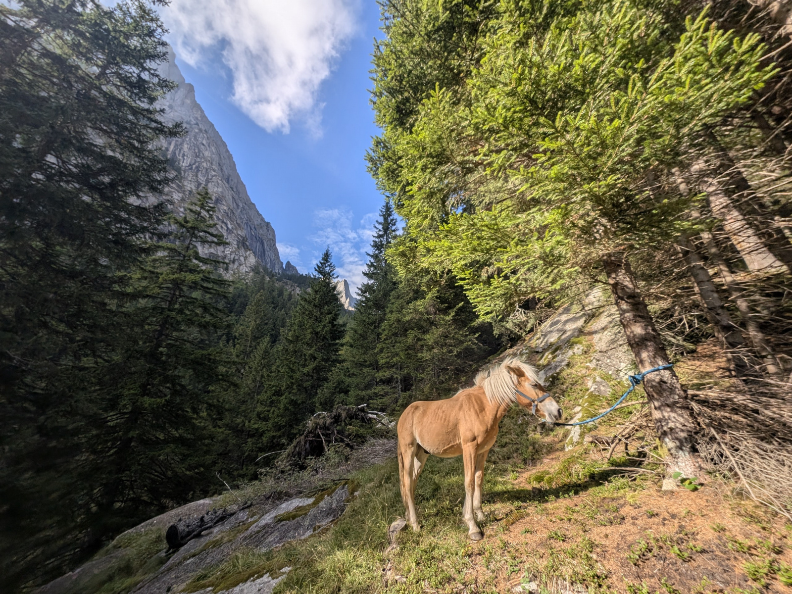 Klicke auf die Grafik für eine vergrößerte Ansicht  Name: PXL_20250917_141734931.jpg Ansichten: 0 Größe: 1,13 MB ID: 3358483