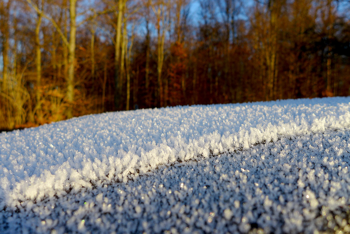 Klicke auf die Grafik für eine vergrößerte Ansicht

Name: Fildern_1.jpg
Ansichten: 0
Größe: 351,8 KB
ID: 3358531