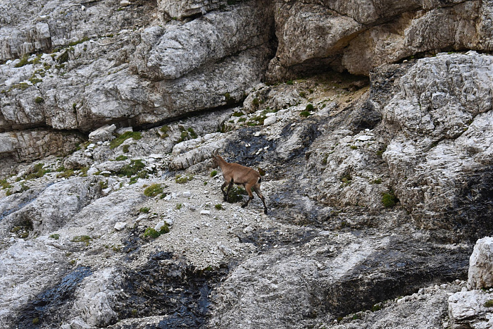 Klicke auf die Grafik für eine vergrößerte Ansicht  Name: DSC_0730.jpg Ansichten: 0 Größe: 1,19 MB ID: 3358588