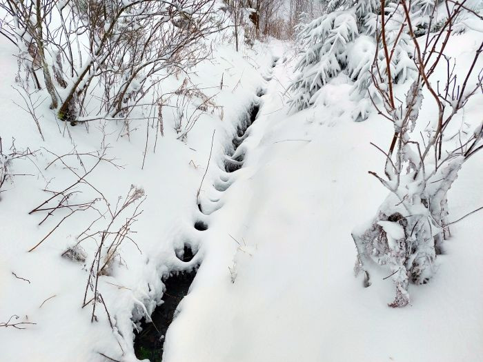 Klicke auf die Grafik für eine vergrößerte Ansicht

Name: 20260102_134441a.jpg
Ansichten: 12
Größe: 120,2 KB
ID: 3358675