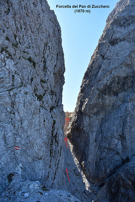 Klicke auf die Grafik für eine vergrößerte Ansicht  Name: DSC_0825.jpg Ansichten: 0 Größe: 756,7 KB ID: 3358738