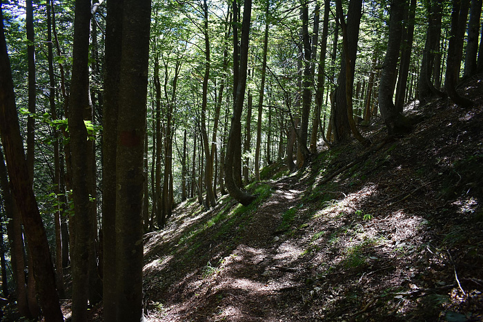 Klicke auf die Grafik für eine vergrößerte Ansicht  Name: DSC_0870.jpg Ansichten: 0 Größe: 1,14 MB ID: 3358744