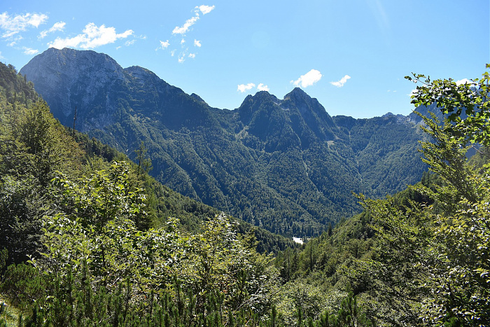 Klicke auf die Grafik für eine vergrößerte Ansicht  Name: DSC_0871.jpg Ansichten: 0 Größe: 1,17 MB ID: 3358747