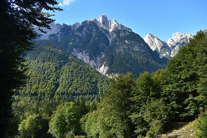 Klicke auf die Grafik für eine vergrößerte Ansicht  Name: DSC_0011.jpg Ansichten: 0 Größe: 1,11 MB ID: 3358748