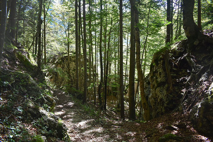 Klicke auf die Grafik für eine vergrößerte Ansicht  Name: DSC_0002.jpg Ansichten: 0 Größe: 1,22 MB ID: 3358752