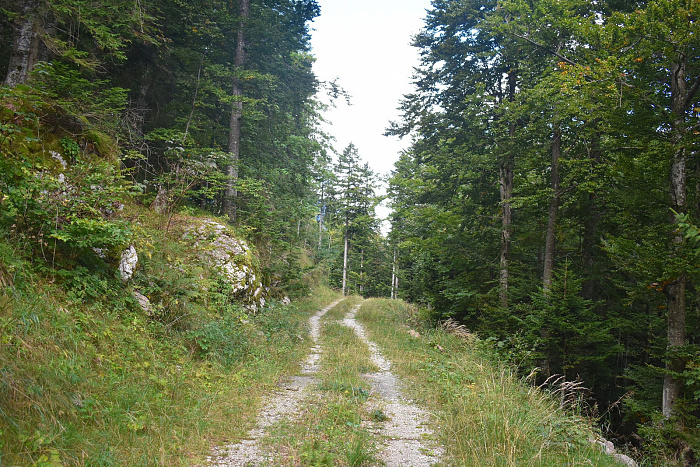 Klicke auf die Grafik für eine vergrößerte Ansicht  Name: DSC_0022.jpg Ansichten: 0 Größe: 1,20 MB ID: 3358783