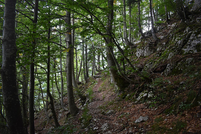 Klicke auf die Grafik für eine vergrößerte Ansicht  Name: DSC_0030.jpg Ansichten: 0 Größe: 1,14 MB ID: 3358784