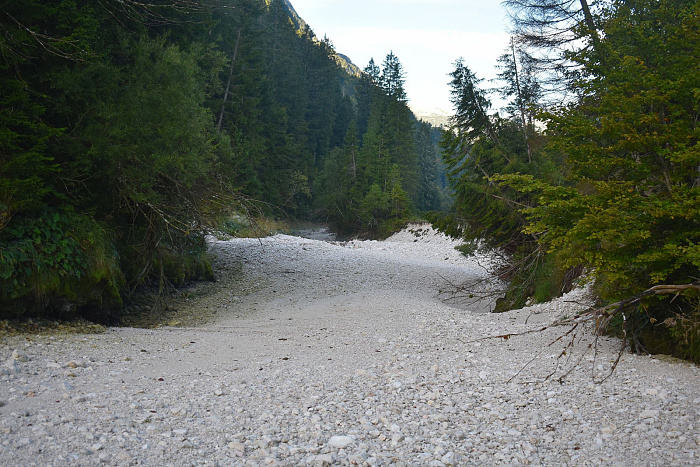 Klicke auf die Grafik für eine vergrößerte Ansicht  Name: DSC_0017.jpg Ansichten: 0 Größe: 949,7 KB ID: 3358780