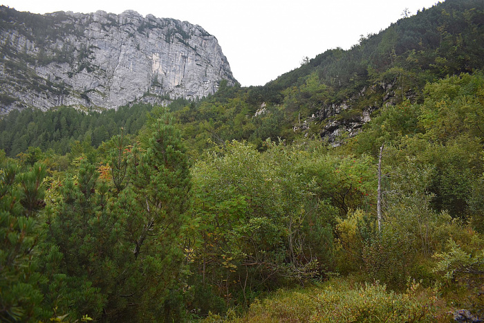 Klicke auf die Grafik für eine vergrößerte Ansicht  Name: DSC_0032.jpg Ansichten: 0 Größe: 991,3 KB ID: 3358789