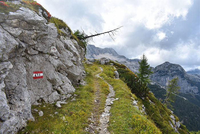 Klicke auf die Grafik für eine vergrößerte Ansicht  Name: DSC_0044.jpg Ansichten: 0 Größe: 1,00 MB ID: 3358790