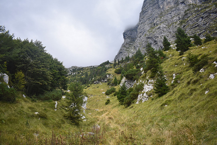 Klicke auf die Grafik für eine vergrößerte Ansicht  Name: DSC_0067.jpg Ansichten: 0 Größe: 920,3 KB ID: 3358792