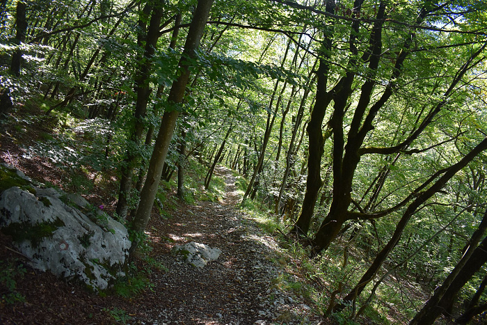 Klicke auf die Grafik für eine vergrößerte Ansicht  Name: DSC_0075.jpg Ansichten: 0 Größe: 1,34 MB ID: 3358800