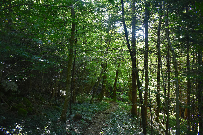 Klicke auf die Grafik für eine vergrößerte Ansicht  Name: DSC_0081.jpg Ansichten: 0 Größe: 1,21 MB ID: 3358802