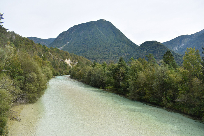 Klicke auf die Grafik für eine vergrößerte Ansicht  Name: DSC_0090.jpg Ansichten: 0 Größe: 828,5 KB ID: 3358803