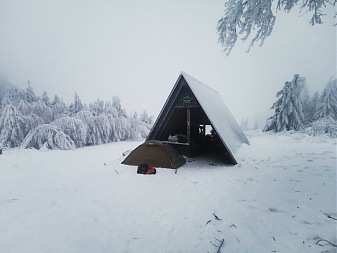 Klicke auf die Grafik für eine vergrößerte Ansicht

Name: IMG_20230130_075619.jpg
Ansichten: 114
Größe: 389,9 KB
ID: 3359214