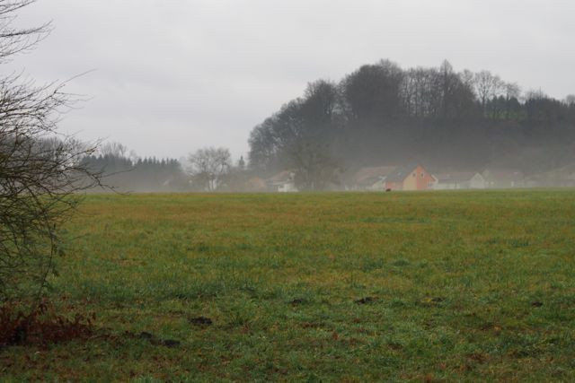 Klicke auf die Grafik für eine vergrößerte Ansicht

Name: PC220288.jpg
Ansichten: 89
Größe: 61,2 KB
ID: 3359307