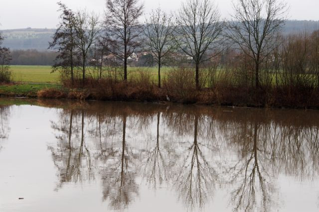 Klicke auf die Grafik für eine vergrößerte Ansicht

Name: PC220317.jpg
Ansichten: 89
Größe: 87,7 KB
ID: 3359313