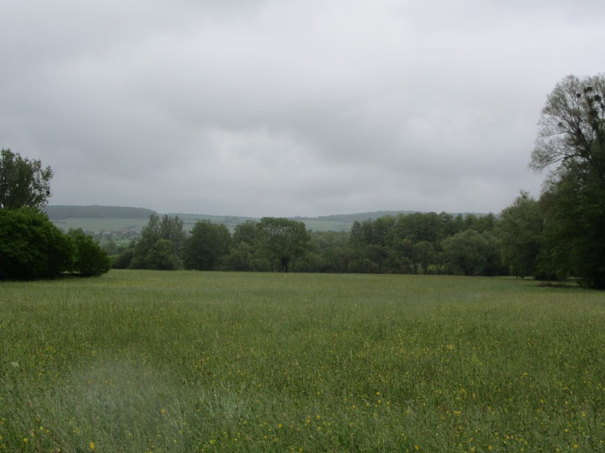 Klicke auf die Grafik für eine vergrößerte Ansicht

Name: IMG_10532.jpg
Ansichten: 80
Größe: 121,8 KB
ID: 3359435