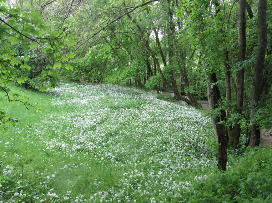 Klicke auf die Grafik für eine vergrößerte Ansicht

Name: IMG_10782.jpg
Ansichten: 76
Größe: 323,5 KB
ID: 3359443