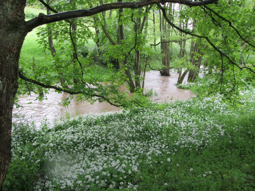 Klicke auf die Grafik für eine vergrößerte Ansicht

Name: IMG_10793.jpg
Ansichten: 78
Größe: 310,1 KB
ID: 3359444