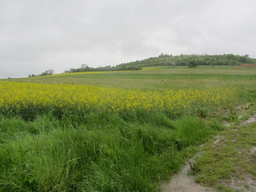 Klicke auf die Grafik für eine vergrößerte Ansicht

Name: IMG_10892.jpg
Ansichten: 79
Größe: 151,4 KB
ID: 3359446