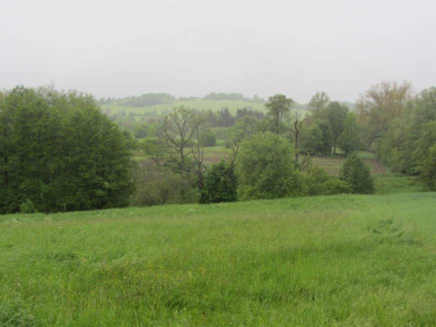 Klicke auf die Grafik für eine vergrößerte Ansicht

Name: IMG_10903.jpg
Ansichten: 80
Größe: 136,3 KB
ID: 3359447