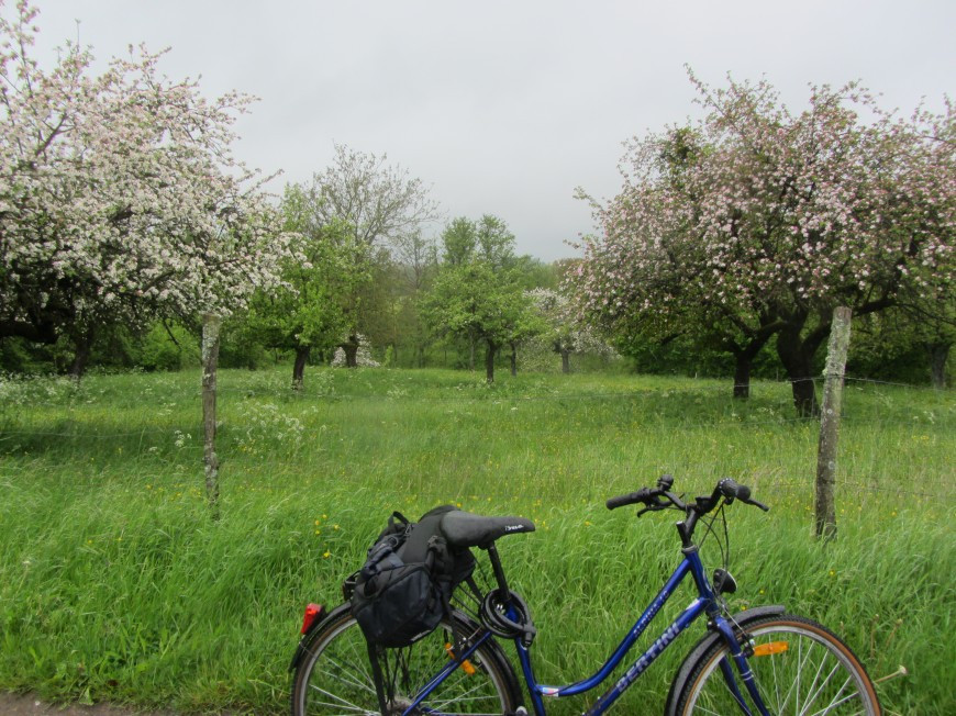 Klicke auf die Grafik für eine vergrößerte Ansicht

Name: IMG_10942.jpg
Ansichten: 80
Größe: 230,3 KB
ID: 3359448