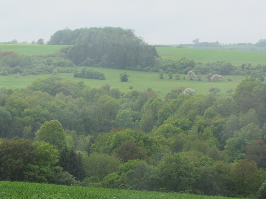 Klicke auf die Grafik für eine vergrößerte Ansicht

Name: IMG_11082.jpg
Ansichten: 79
Größe: 120,4 KB
ID: 3359450